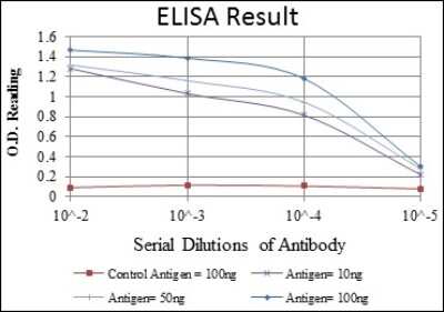 ELISA: SMN Antibody (5H1) [NBP2-37594] - Red: Control Antigen (100ng); Purple: Antigen (10ng); Green: Antigen (50ng); Blue: Antigen (100ng);