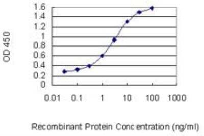 ELISA SMPDL3B Antibody (5E12) - Azide and BSA Free