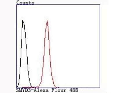 Flow Cytometry: SMYD3 Antibody (JM73-63) [NBP2-75668] - Analysis of Hela cells with SMYD3 antibody at 1/100 dilution (red) compared with an unlabelled control (cells without incubation with primary antibody; black).