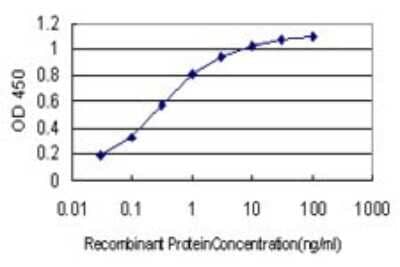 Sandwich ELISA: SNAP23 Antibody (2F5-3D4) [H00008773-M01] - Detection limit for recombinant GST tagged SNAP23 is approximately 0.03ng/ml as a capture antibody.