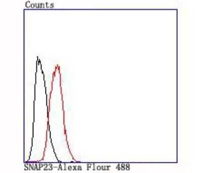 Flow Cytometry: SNAP23 Antibody (JA73-15) [NBP2-67157] - Analysis of Hela cells with SNAP23 antibody at 1/100 dilution (red) compared with an unlabelled control (cells without incubation with primary antibody; black).