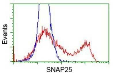 Flow Cytometry: SNAP25 Antibody (OTI4G5) - Azide and BSA Free [NBP2-74245] - HEK293T cells transfected with either overexpression plasmid (Red) or empty vector control plasmid (Blue) were immunostaining by anti-SNAP25 antibody, and then analyzed by flow cytometry.