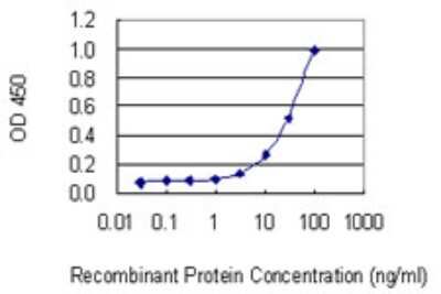 Sandwich ELISA: SNX10 Antibody (1G5) [H00029887-M01] - Detection limit for recombinant GST tagged SNX10 is 1 ng/ml as a capture antibody.