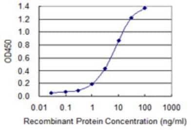 Sandwich ELISA: SNX16 Antibody (1E9) [H00064089-M07] - Detection limit for recombinant GST tagged SNX16 is 0.3 ng/ml as a capture antibody.