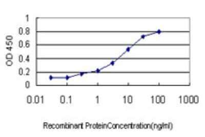 Sandwich ELISA: SNX29 Antibody (4H4) [H00084127-M01] - Detection limit for recombinant GST tagged RUNDC2A is approximately 0.1ng/ml as a capture antibody.