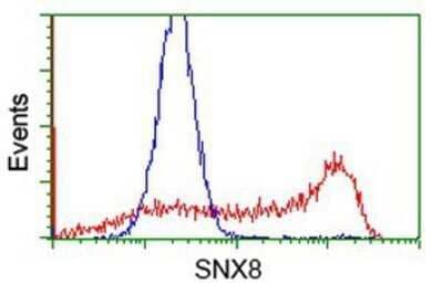 Flow Cytometry: SNX8 Antibody (OTI1E5) - Azide and BSA Free [NBP2-74266] - HEK293T cells transfected with either overexpression plasmid (Red) or empty vector control plasmid (Blue) were immunostaining by anti-SNX8 antibody, and then analyzed by flow cytometry.
