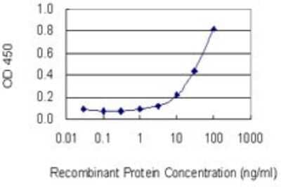 Sandwich ELISA: SOCS-4 Antibody (2G8) [H00122809-M01] - Detection limit for recombinant GST tagged SOCS4 is 0.3 ng/ml as a capture antibody.