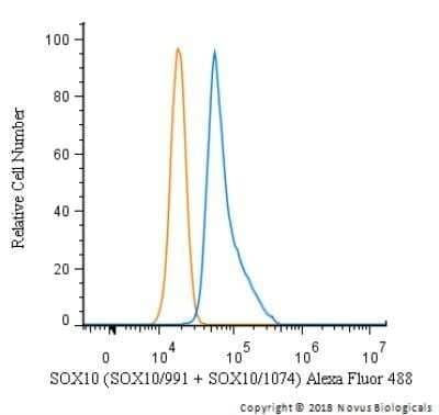Flow Cytometry: SOX10 Antibody (SOX10/991 + SOX10/1074) - Azide and BSA Free [NBP2-47709] - An intracellular stain was performed on SK-MEL-28 cells with SOX10 Antibody (SOX10/991 + SOX10/1074) NBP2-47709AF488 (blue) and a matched isotype control (orange). Cells were fixed with 4% PFA and then permeabilized with 0.1% saponin. Cells were incubated in an antibody dilution of 5 ug/mL for 30 minutes at room temperature. Both antibodies were conjugated to Alexa Fluor 488. Image using the Alexa Fluor 488 form of this antibody.