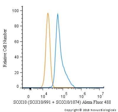 Flow Cytometry: SOX10 Antibody (SOX10/991 + SOX10/1074) [NBP2-44476] - Flow Cytometry: SOX10 Antibody (SOX10/991 + SOX10/1074) [Alexa Fluor® 488] [NBP2-47709AF488] - An intracellular stain was performed on SK-MEL-28 cells with SOX10 Antibody (SOX10/991 + SOX10/1074) NBP2-47709AF488 (blue) and a matched isotype control (orange). Cells were fixed with 4% PFA and then permeabilized with 0.1% saponin. Cells were incubated in an antibody dilution of 5 ug/mL for 30 minutes at room temperature. Both antibodies were conjugated to Alexa Fluor 488. Image using the Alexa Fluor 488 form of this antibody.