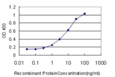 Sandwich ELISA: SOX4 Antibody (2C5) [H00006659-M01] - Detection limit for recombinant GST tagged SOX4 is approximately 0.3ng/ml as a capture antibody.