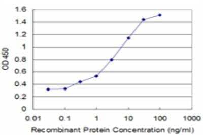 ELISA: SP100 Antibody (2E2) [H00006672-M03] - Detection limit for recombinant GST tagged SP100 is approximately 0.3ng/ml as a capture antibody.