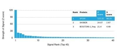 Protein Array: SP100 Antibody (PCRP-SP100-1B9) - Azide and BSA Free [NBP3-14183] - Analysis of Protein Array containing more than 19,000 full-length human proteins using SP100 Antibody (PCRP-SP100-1B9).