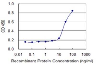 Sandwich ELISA: SPAG4 Antibody (3C8) [H00006676-M04] - Detection limit for recombinant GST tagged SPAG4 is 1 ng/ml as a capture antibody.