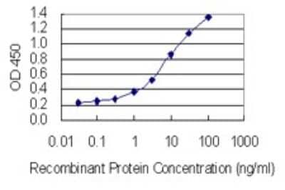 Sandwich ELISA: SPANXN3 Antibody (1F11) [H00139067-M01] - Detection limit for recombinant GST tagged SPANXN3 is 0.1 ng/ml as a capture antibody.