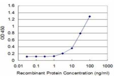 ELISA: SPARC Antibody (1B2) [H00006678-M02] - Detection limit for recombinant GST tagged SPARC is approximately 3ng/ml as a capture antibody.