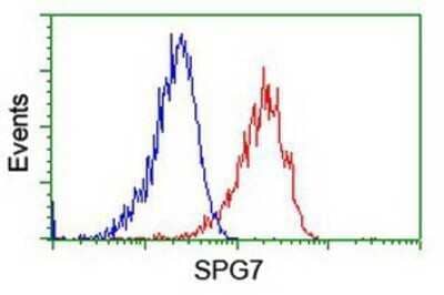 Flow Cytometry: SPG7 Antibody (OTI1C1) - Azide and BSA Free [NBP2-74327] - Analysis of Hela cells, using anti-SPG7 antibody, (Red), compared to a nonspecific negative control antibody (Blue).