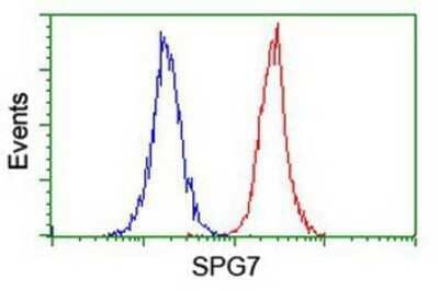 Flow Cytometry: SPG7 Antibody (OTI1C1) - Azide and BSA Free [NBP2-74327] - Analysis of Jurkat cells, using anti-SPG7 antibody, (Red), compared to a nonspecific negative control antibody (Blue).