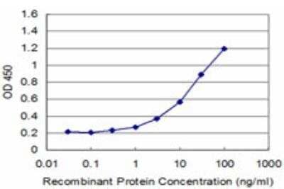 ELISA: SPOP Antibody (3E2) [H00008405-M04] - Detection limit for recombinant GST tagged SPOP is approximately 0.3ng/ml as a capture antibody.