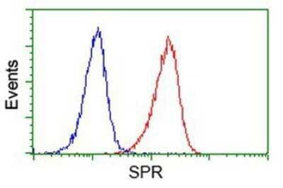 Flow Cytometry: SPR Antibody (OTI4F5) - Azide and BSA Free [NBP2-74344] - Analysis of Jurkat cells, using anti-SPR antibody, (Red), compared to a nonspecific negative control antibody (Blue).