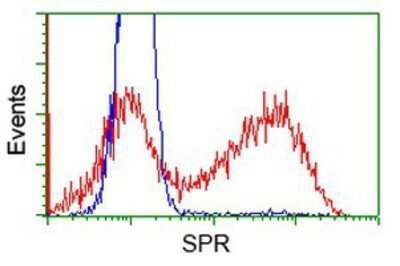 Flow Cytometry: SPR Antibody (OTI4F5) - Azide and BSA Free [NBP2-74344] - HEK293T cells transfected with either overexpression plasmid (Red) or empty vector control plasmid (Blue) were immunostaining by anti-SPR antibody, and then analyzed by flow cytometry.