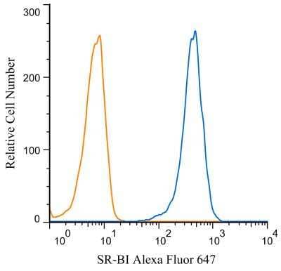 Flow Cytometry: SR-BI Antibody [Alexa Fluor (R) 647] [NB400-104AF647] - An intracellular stain was performed on HeLa cells with SR-BI antibody NB400-104AF647 (blue) and a matched isotype control NBP2-24893AF647 (orange). Cells were fixed with 4% PFA and then permeablized with 0.1% saponin. Cells were incubated in an antibody dilution of 2 ug/mL for 30 minutes at room temperature. Both antibodies were conjugated to Alexa Fluor 647.