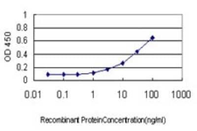 Sandwich ELISA: SRCRB4D Antibody (3D9) [H00136853-M01] - Detection limit for recombinant GST tagged SRCRB4D is approximately 0.3ng/ml as a capture antibody.