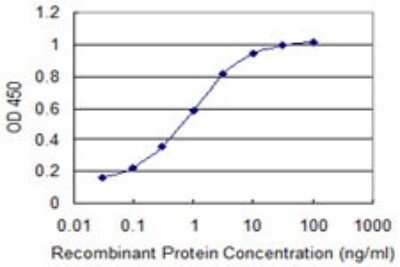 Sandwich ELISA: SRGAP1 Antibody (5D10) [H00057522-M07] - Detection limit for recombinant GST tagged SRGAP1 is 0.03 ng/ml as a capture antibody.