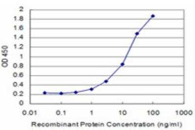 ELISA: SRPK1 Antibody (1D11) [H00006732-M11] - Detection limit for recombinant GST tagged SRPK1 is approximately 1ng/ml as a capture antibody.