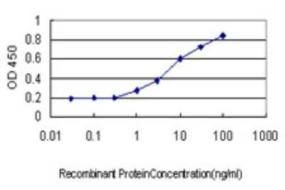 ELISA: SRp55 Antibody (6A10) [H00006431-M01] - Detection limit for recombinant GST tagged SFRS6 is approximately 1ng/ml as a capture antibody.