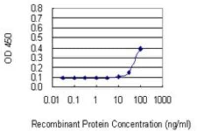 Sandwich ELISA: SSB Antibody (1D6-H5) [H00006741-M01] - Detection limit for recombinant GST tagged SSB is 10 ng/ml as a capture antibody.