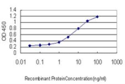 ELISA: SSBP1 Antibody (4C1) [H00006742-M10] - Detection limit for recombinant GST tagged SSBP1 is approximately 0.3ng/ml as a capture antibody.