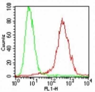 Flow (Cell Surface): SSEA-4 Antibody (MC-813-70) - Azide and BSA Free [NBP2-80963] - Analysis using the FITC conjugate of NBP2-26644. Staining of SSEA-4 on human 2102Ep cells using 10 ul/10^6 cells of NBP2-26645 (green histogram represents isotype control; red represents SSEA-4 antibody).