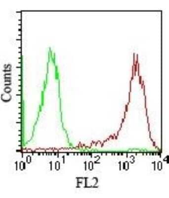 Flow Cytometry: SSEA-4 Antibody (MC-813-70) - Azide and BSA Free [NBP2-80963] - Cell surface analysis on 2102Ep cells using 0.1 ug/10^6 cells of NBP2-26644 (green histogram represents isotype control; red represents SSEA-4 antibody). Image from the standard format of this antibody.