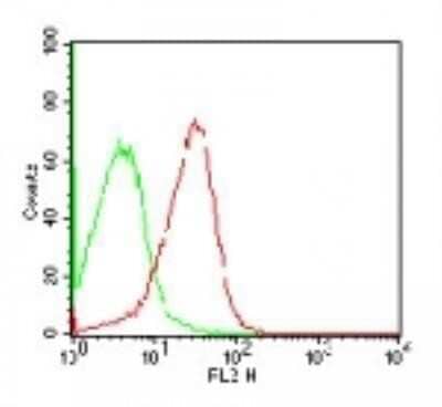 Flow Cytometry: SSEA-4 Antibody (MC-813-70) - Azide and BSA Free [NBP2-80963] - Cell surface flow cytometric analysis of SSEA-4 PE on human 2102Ep cells using 10 ul/10^6 cells of NBP2-26648 (green histogram represents isotype control; red represents SSEA-4 antibody). Image from the standard format of this antibody.