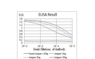 ELISA: SSH1 Antibody (1A5C8) [NBP2-52569] - Black line: Control Antigen (100 ng); Purple line: Antigen(10ng); Blue line: Antigen (50 ng); Red line: Antigen (100 ng);