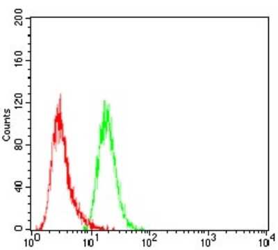 Flow Cytometry: SSH1 Antibody (1A5C8) [NBP2-52569] - Analysis of Hela cells using SLINGSHOT-1L mouse mAb (green) and negative control (red).