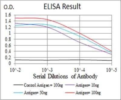 ELISA: SSH1 Antibody (6C11G9) [NBP2-52568] - Black line: Control Antigen (100 ng); Purple line: Antigen(10ng); Blue line: Antigen (50 ng); Red line: Antigen (100 ng).