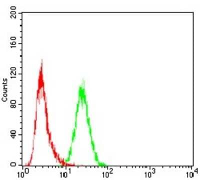 Flow Cytometry: SSH1 Antibody (6C11G9) [NBP2-52568] - Analysis of Hela cells using SLINGSHOT-1L mouse mAb (green) and negative control (red).