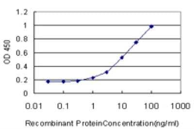 ELISA: SSH2 Antibody (1E11) [H00085464-M07] - Detection limit for recombinant GST tagged SSH2 is approximately 1ng/ml as a capture antibody.