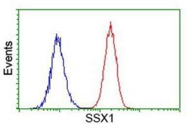 Flow Cytometry: SSX1 Antibody (OTI1E10) - Azide and BSA Free [NBP2-74362] - Analysis of Hela cells, using anti-SSX1 antibody, (Red), compared to a nonspecific negative control antibody (Blue).