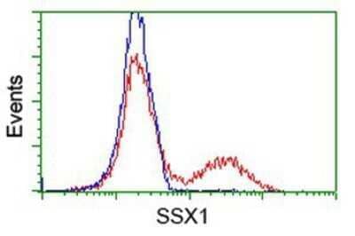 Flow Cytometry: SSX1 Antibody (OTI1E10) - Azide and BSA Free [NBP2-74362] - HEK293T cells transfected with either overexpression plasmid (Red) or empty vector control plasmid (Blue) were immunostaining by anti-SSX1 antibody, and then analyzed by flow cytometry.