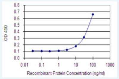 ELISA: ST3GAL5 Antibody (8B4) [H00008869-M04-100ug] - Detection limit for recombinant GST tagged ST3GAL5 is 3 ng/ml as a capture antibody