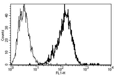 Flow Cytometry: ST6 Gal Sialyltransferase 1/ST6GAL1/CD75 Antibody (B-L5) - Azide and BSA Free [NBP3-18098] - A typical staining pattern with the B-L5 monoclonal antibody of Raji cell line.