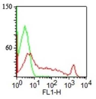 Flow Cytometry: ST6 Gal Sialyltransferase 1/ST6GAL1/CD75 Antibody (LN-1) - Azide and BSA Free [NBP2-47890] - Surface staining of human lymphocytes with CDw75 Monoclonal Antibody (LN-1) (red) and isotype control (green). PPI negative population analyzed.