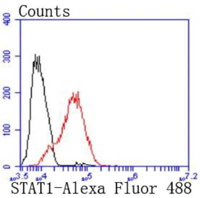Flow Cytometry: STAT1 Antibody (SJ01-89) [NBP2-67409] - Analysis of MCF-7 cells with STAT1 antibody at 1/50 dilution (red) compared with an unlabelled control (cells without incubation with primary antibody; black). Alexa Fluor 488-conjugated goat anti rabbit IgG was used as the secondary antibody