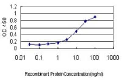 Sandwich ELISA: STAT4 Antibody (1C2-1C12) [H00006775-M01] - Detection limit for recombinant GST tagged STAT4 is approximately 0.3ng/ml as a capture antibody.