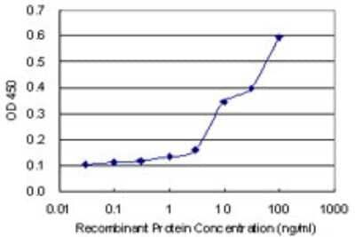 Sandwich ELISA: STAT4 Antibody (2H4-1G8) [H00006775-M02] - Detection limit for recombinant GST tagged STAT4 is 0.3 ng/ml as a capture antibody.