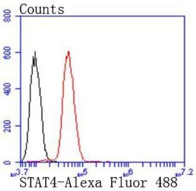 Flow Cytometry: STAT4 Antibody (JJ08-85) [NBP2-67868] - Analysis of Hela cells with STAT4 antibody at 1/50 dilution (red) compared with an unlabelled control (cells without incubation with primary antibody; black). Alexa Fluor 488-conjugated goat anti rabbit IgG was used as the secondary antibody.