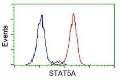 Flow Cytometry: STAT5A Antibody (OTI9F7) - Azide and BSA Free [NBP2-74392] - Analysis of Hela cells, using anti-STAT5A antibody, (Red), compared to a nonspecific negative control antibody (Blue).