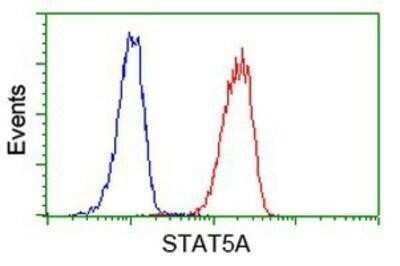 Flow Cytometry: STAT5A Antibody (OTI9F7) - Azide and BSA Free [NBP2-74392] - Analysis of Jurkat cells, using anti-STAT5A antibody, (Red), compared to a nonspecific negative control antibody (Blue).